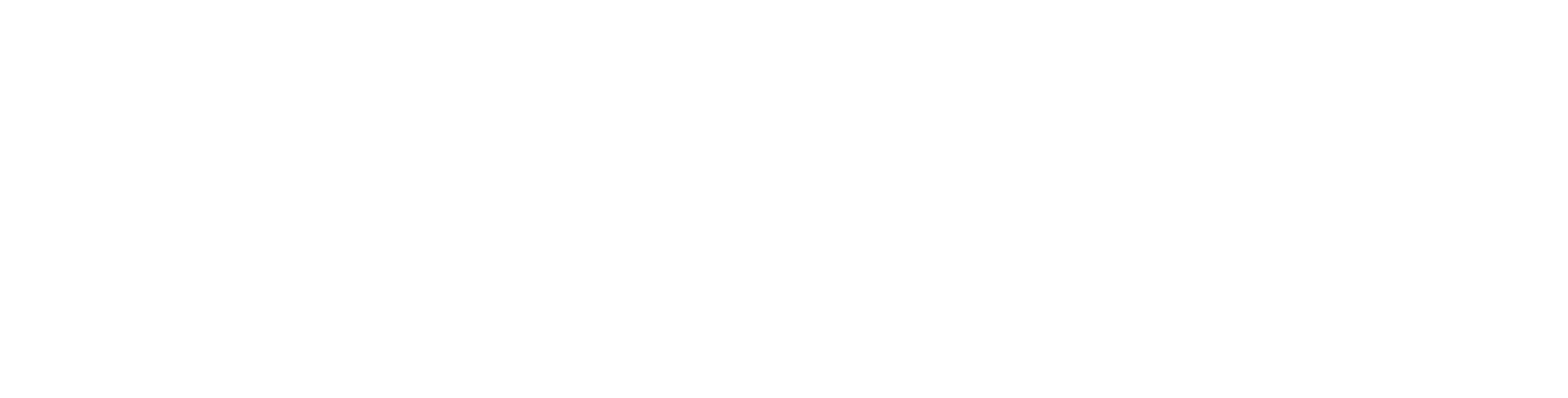 iPaymu Logo White